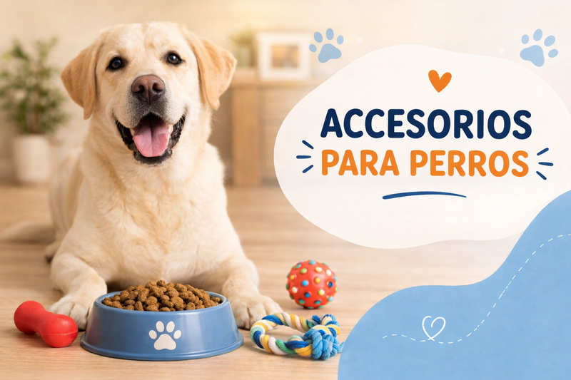 ACCESORIOS PERROS