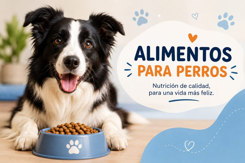 ALIMENTO PERROS