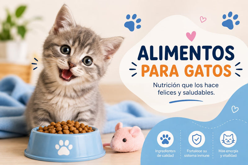 ALIMENTO GATOS