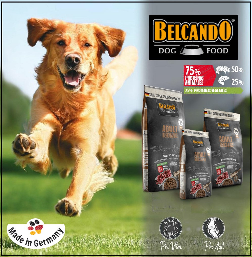 BELCANDO ADULTO  IBÉRICO Y ARROZ RAZAS MED-GRANDE  4 KG