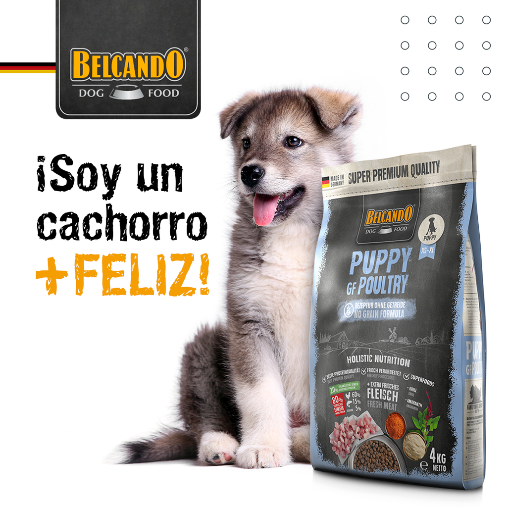 BELCANDO PUPPY GRAIN FREE POULTRY 4,0 KG