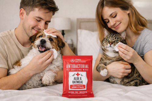ANTIBACTERIAL WIPES 40P (CON ALOE Y AVENA)