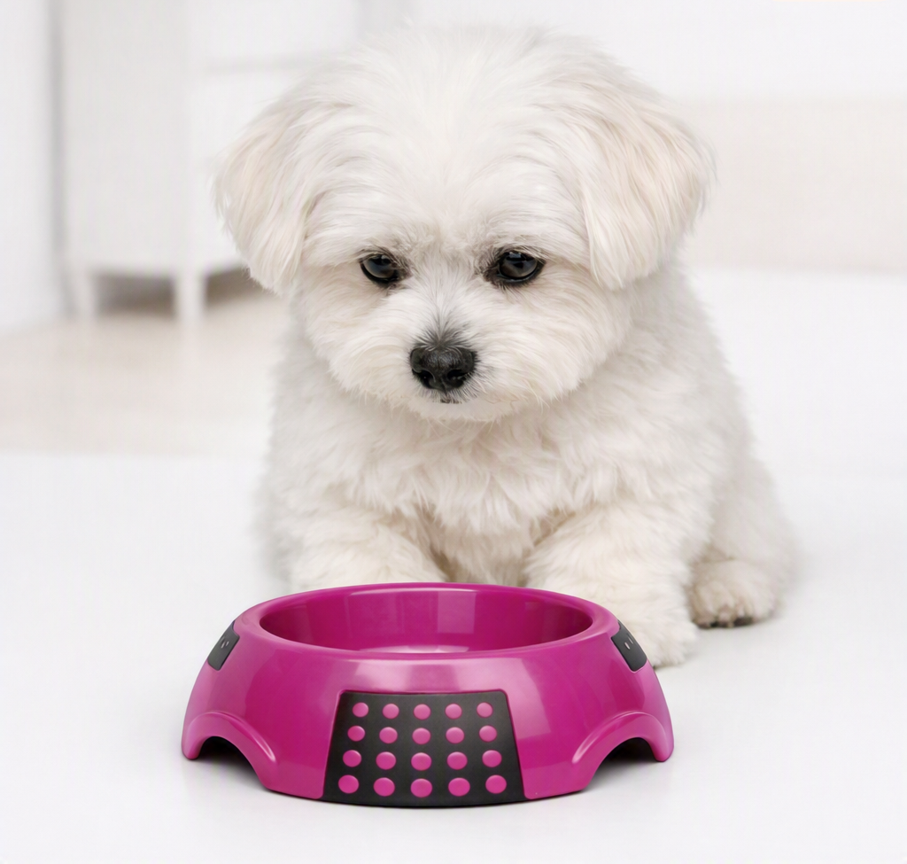 PLATO ANTIDESLIZANTE LUNA PARA MASCOTAS TALLA S