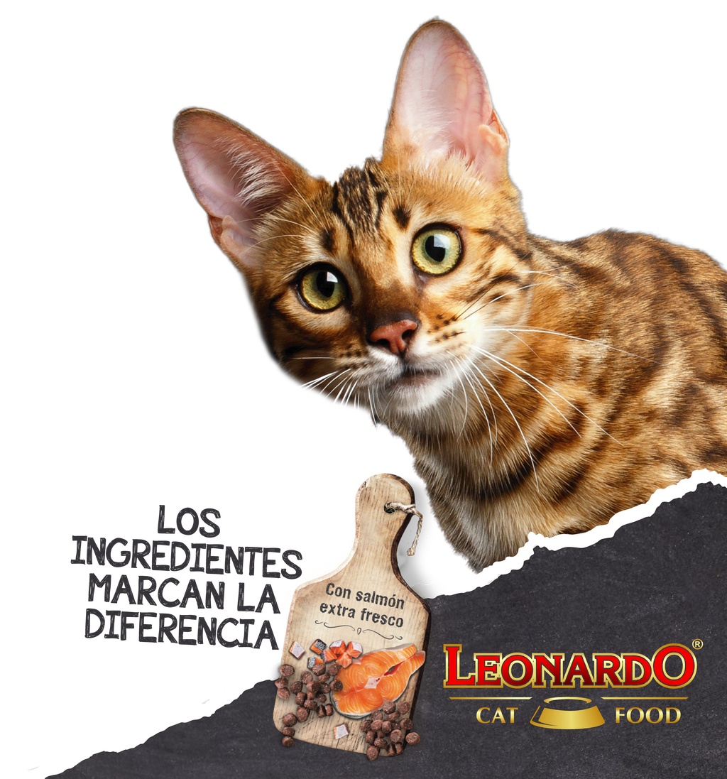 LEONARDO GATO  ADULT GF SALMON 1,8 KG